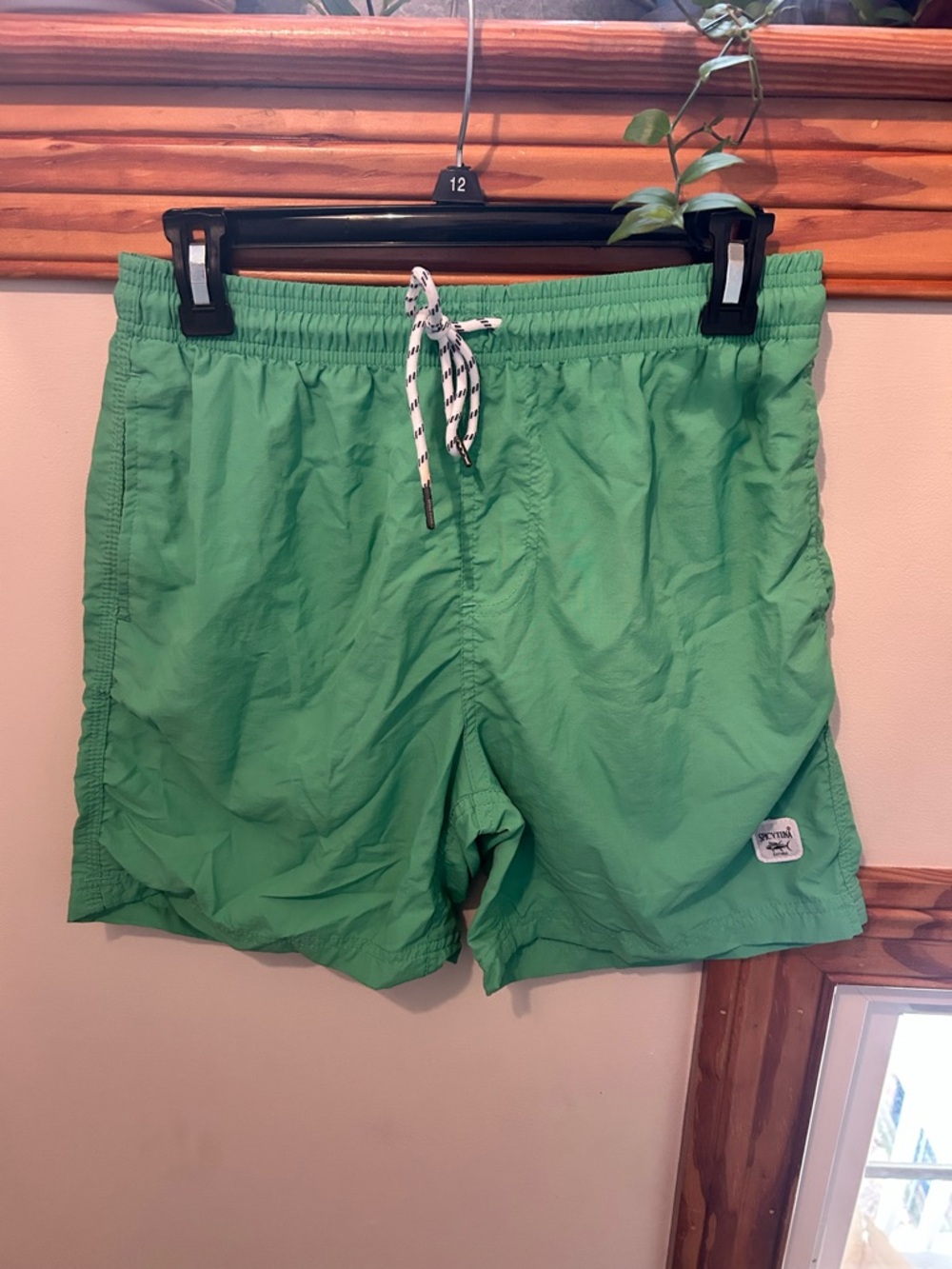 Men's Bright Green Swim Trunks with Drawstring Waist